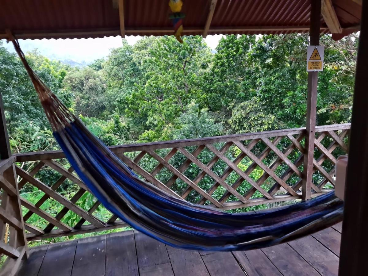 Deep Forest Posadas Ecoturisticas Эль-Саино Экстерьер фото
