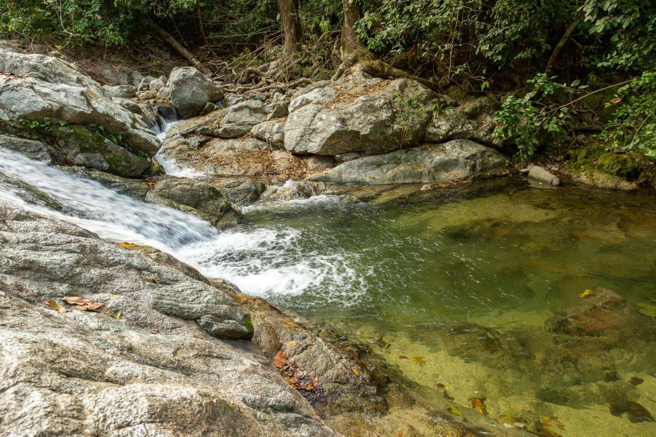 Deep Forest Posadas Ecoturisticas Эль-Саино Экстерьер фото