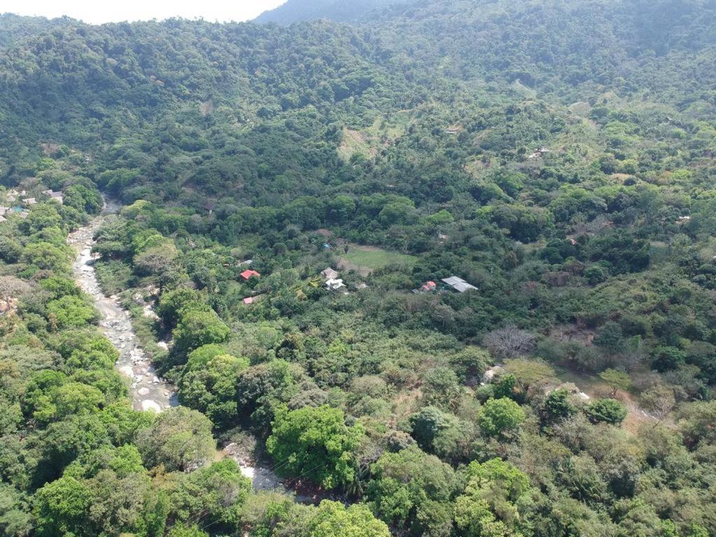 Deep Forest Posadas Ecoturisticas Эль-Саино Экстерьер фото