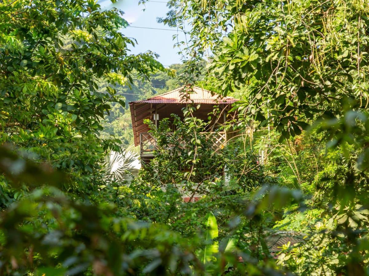 Deep Forest Posadas Ecoturisticas Эль-Саино Экстерьер фото